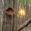 Town Forest birdhouse