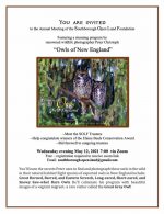 Owls of New England flyer