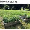 Community Garden Beds at Library