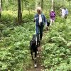 Hike with Goats from Facebook event