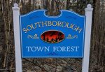 Town Forest Sign