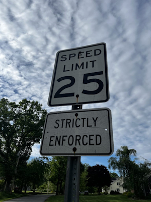 Speed limit sign by Maggie Fitzgerald