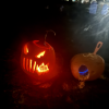 Pumpkin Stroll 2024 (edited from photo by Cass Melo)