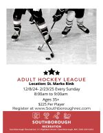 Adult Hockey league flyer