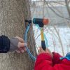 Maple tapping at Chestnut Hill farm from 2023 Facebook post