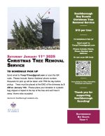 Tree Pickup Flyer 2025