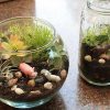 Gulbankian's Kids-terrarium-workshop