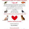 Palentine’s Day Pet Photo Contest flyer